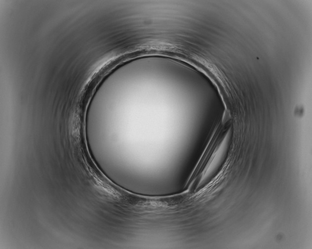 X0000100211115200806131246