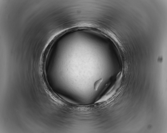 X0000100211116200806131246