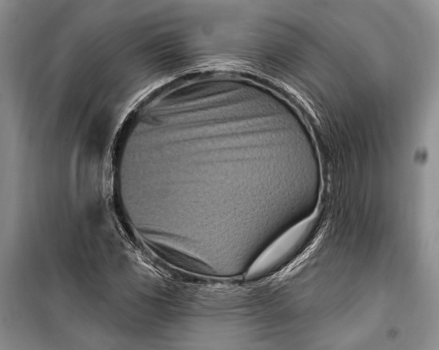 X0000100211117200806131246