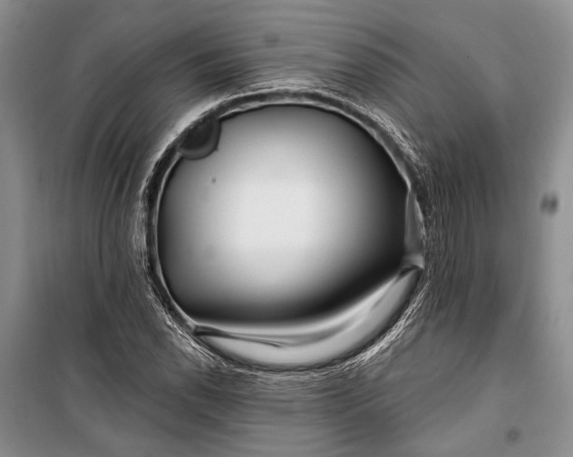 X0000100211118200806131246