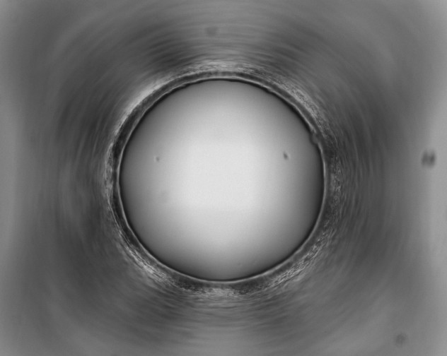 X0000100211119200806131246