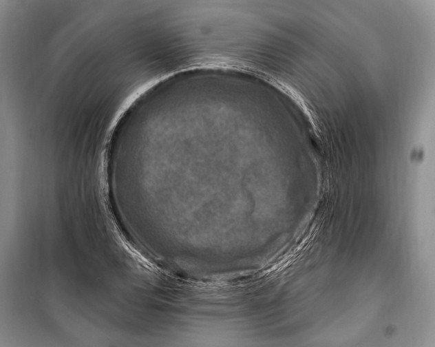 X0000100211120200806131246