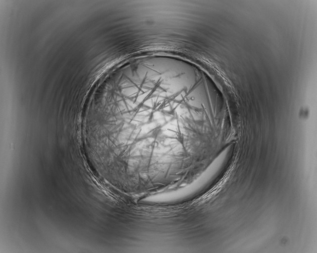 X0000100211121200806131246