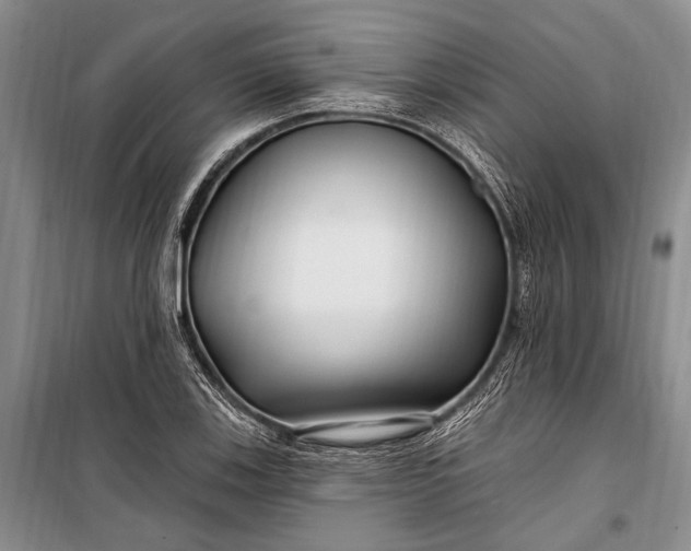 X0000100211123200806131246