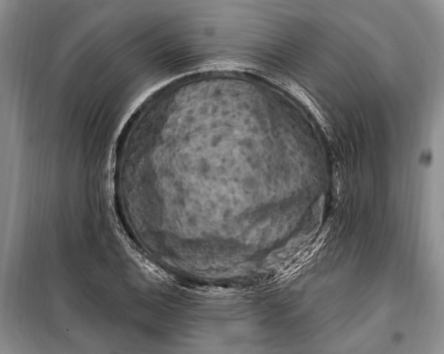 X0000100211124200806131246