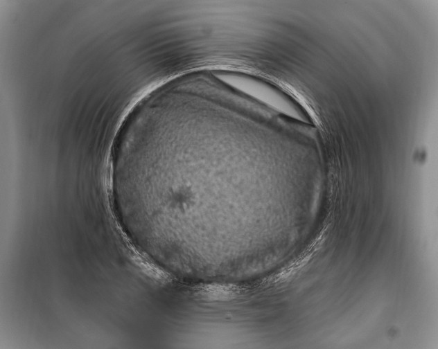 X0000100211125200806131246