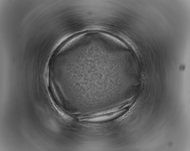 X0000100211127200806131246