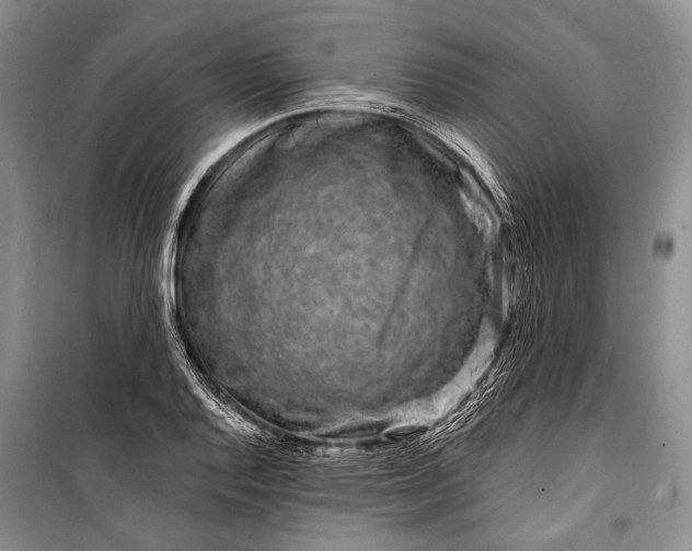 X0000100211128200806131246