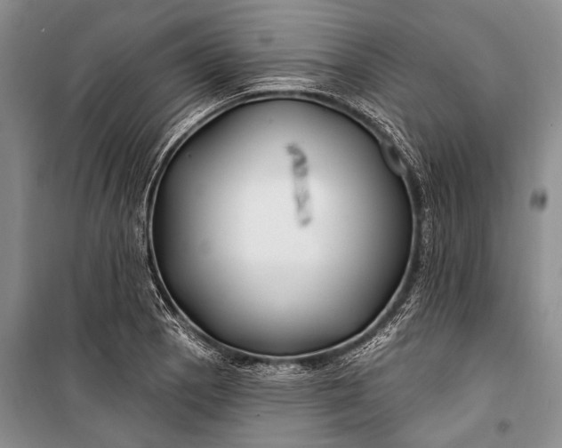 X0000100211129200806131246