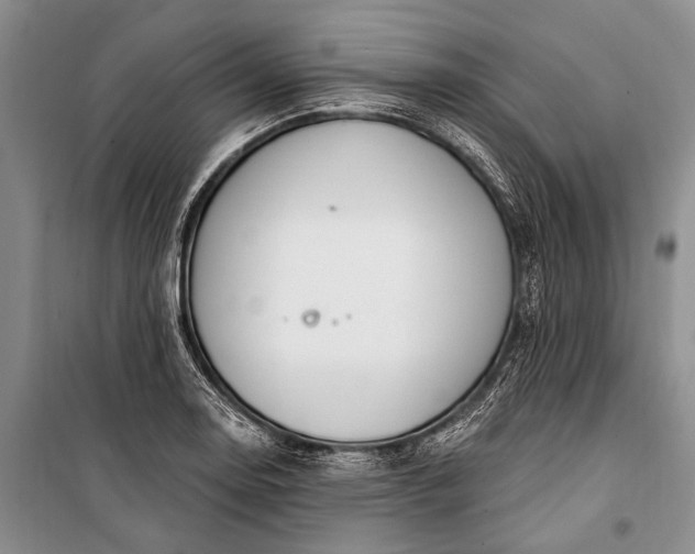 X0000100211130200806131246