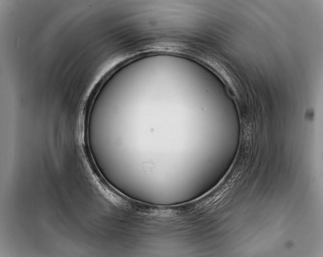 X0000100211131200806131246