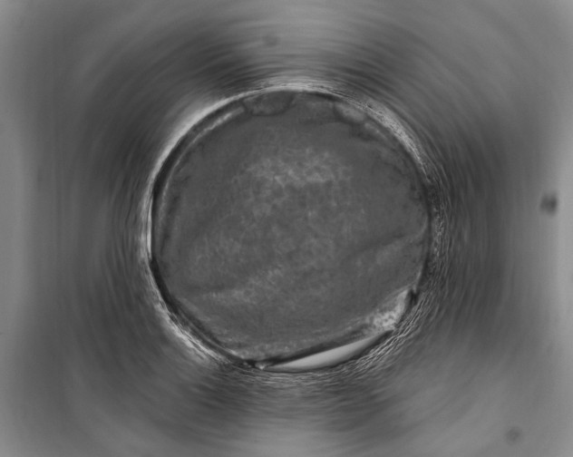 X0000100211132200806131246