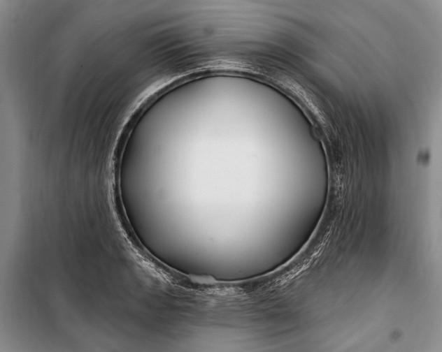 X0000100211133200806131246