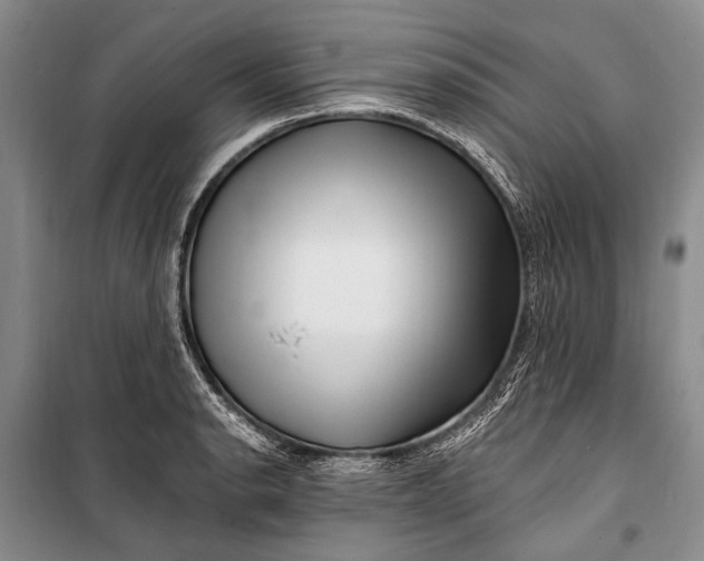 X0000100211134200806131246