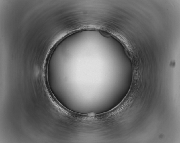 X0000100211135200806131246