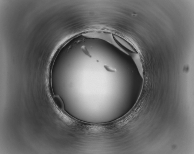 X0000100211136200806131246