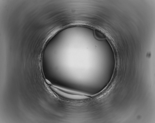 X0000100211137200806131246