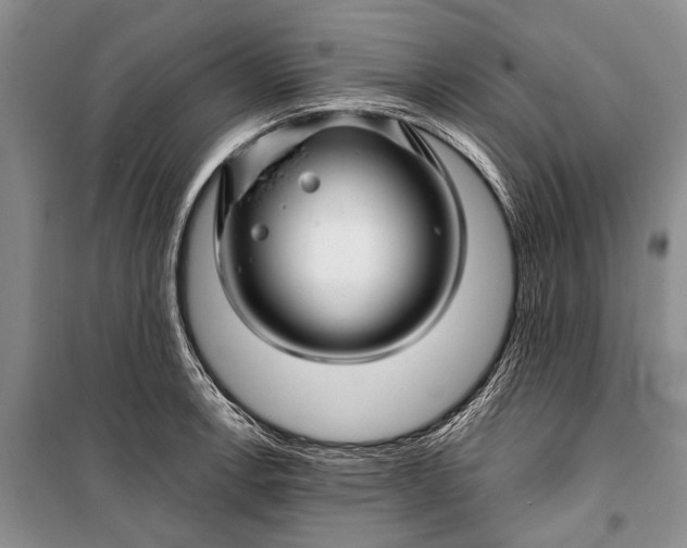 X0000100211138200806131246