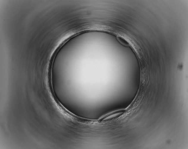 X0000100211139200806131246