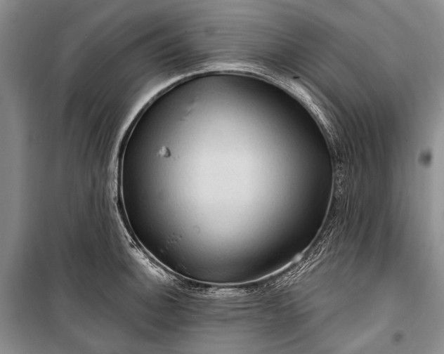 X0000100211140200806131246