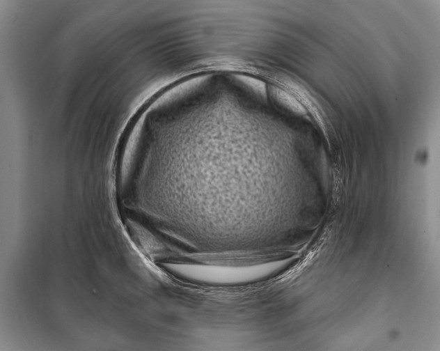 X0000100211141200806131246