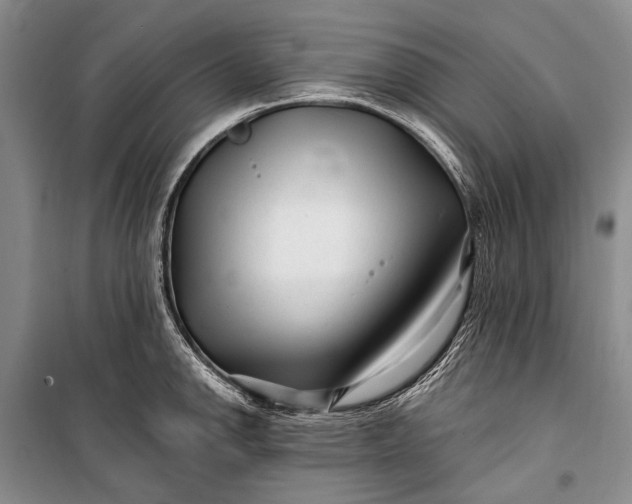 X0000100211142200806131246