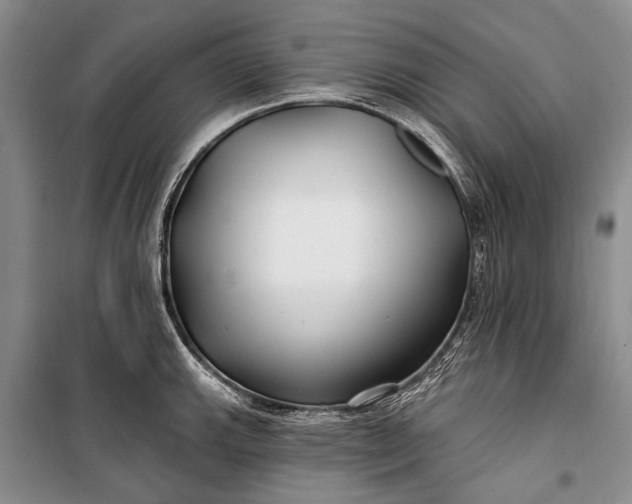 X0000100211143200806131246