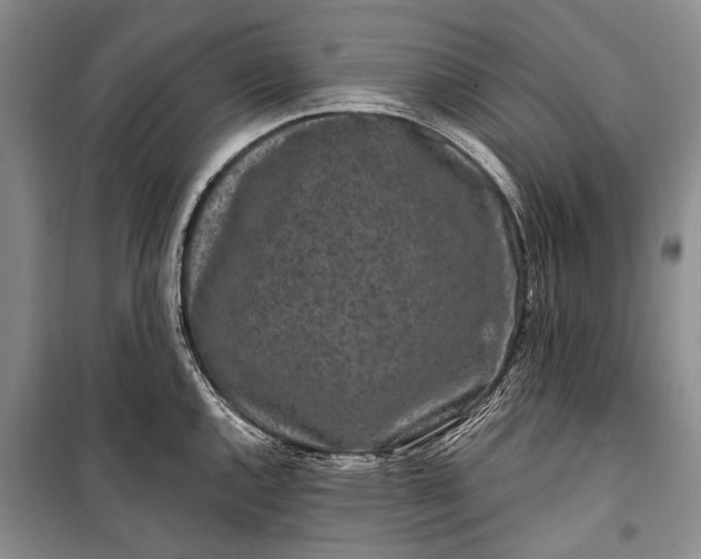 X0000100211144200806131246