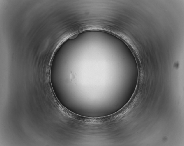 X0000100211145200806131246