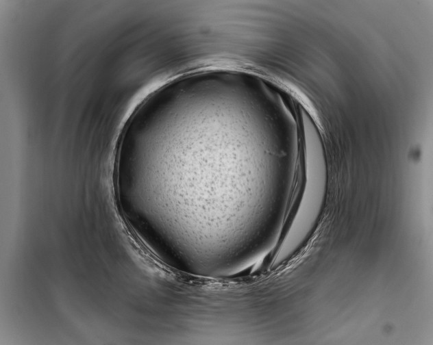 X0000100211146200806131246