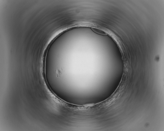 X0000100211147200806131246