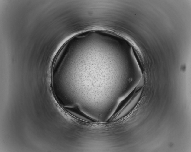 X0000100211148200806131246