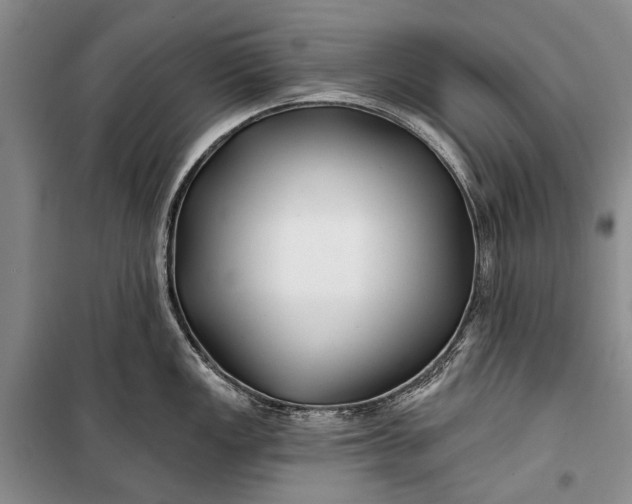 X0000100211149200806131246