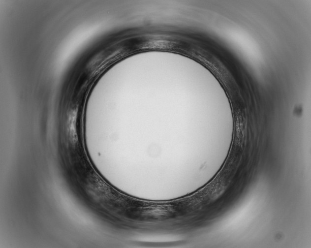 X0000100211150200806131246