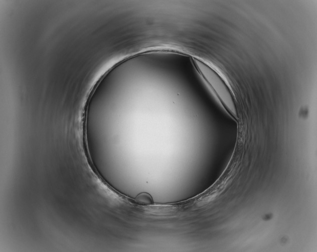 X0000100211151200806131246