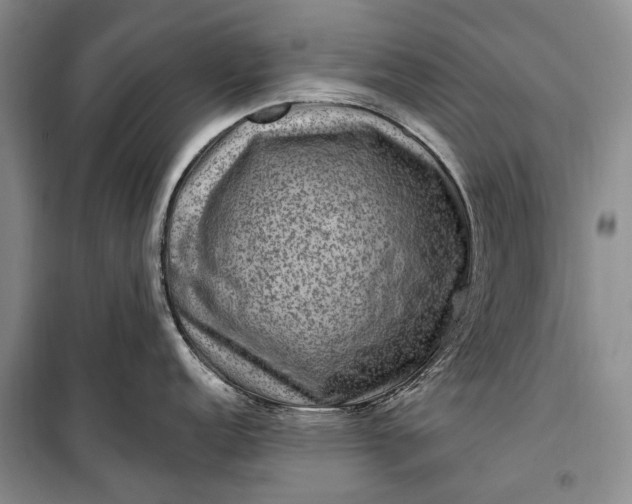 X0000100211152200806131246