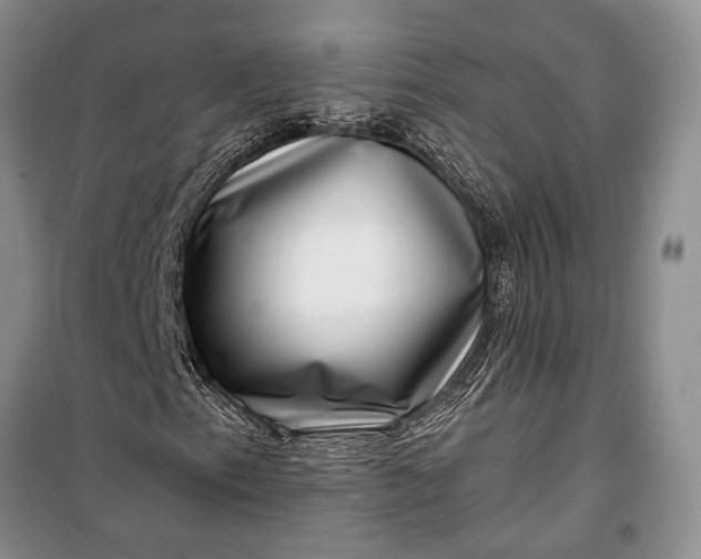 X0000100211153200806131246