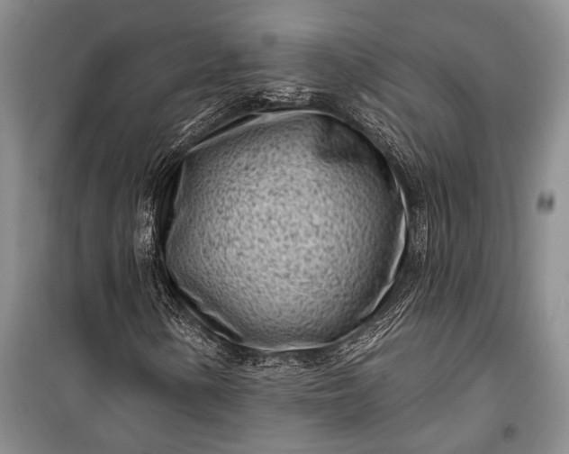 X0000100211154200806131246