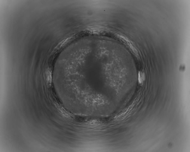 X0000100211155200806131246