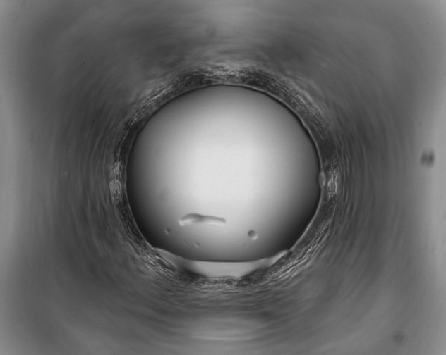 X0000100211156200806131246