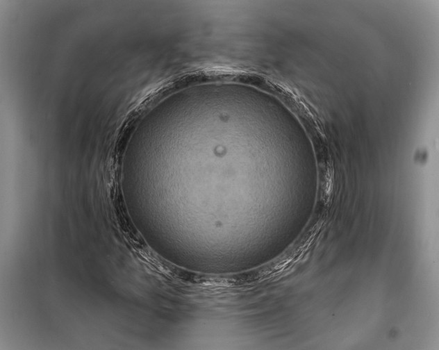 X0000100211157200806131246