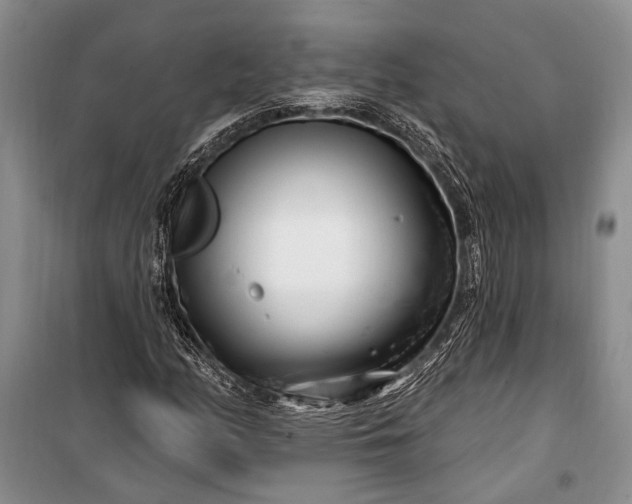 X0000100211158200806131246