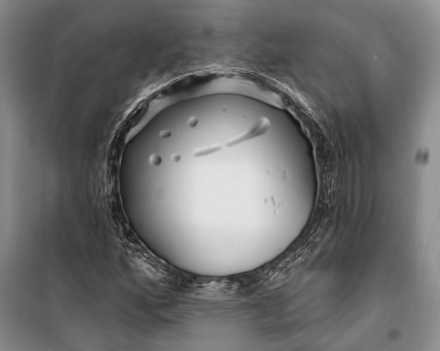 X0000100211160200806131246