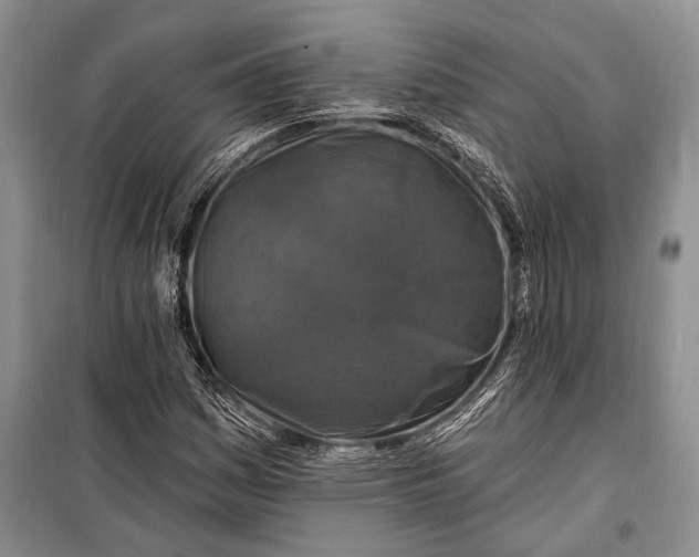 X0000100211161200806131246