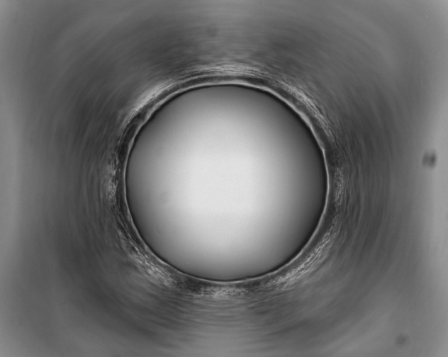 X0000100211163200806131246