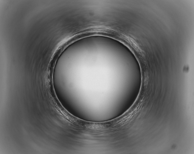 X0000100211164200806131246