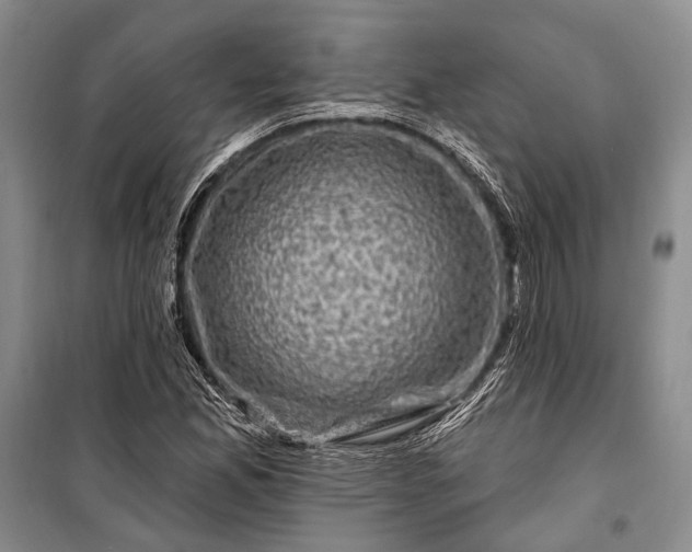 X0000100211165200806131246