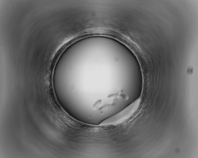 X0000100211166200806131246