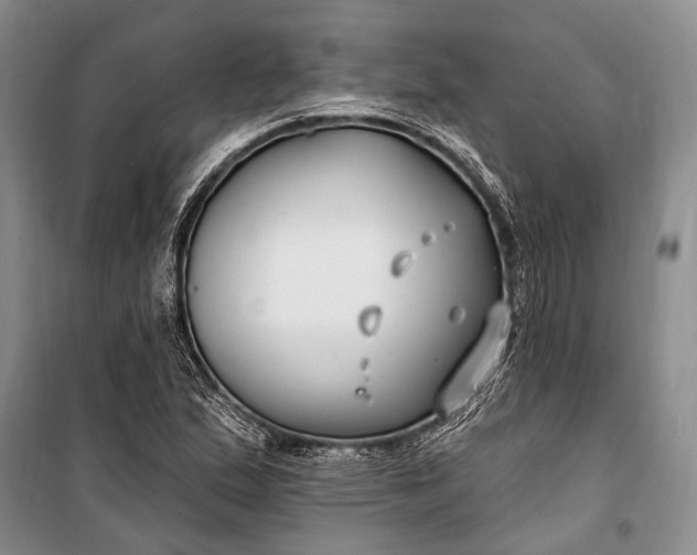 X0000100211167200806131246