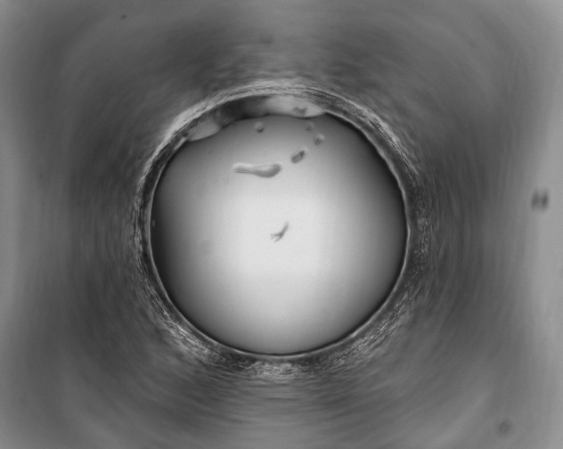 X0000100211168200806131246